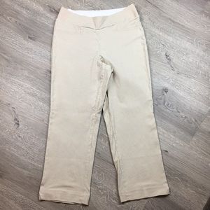 Investments dress pant size 10